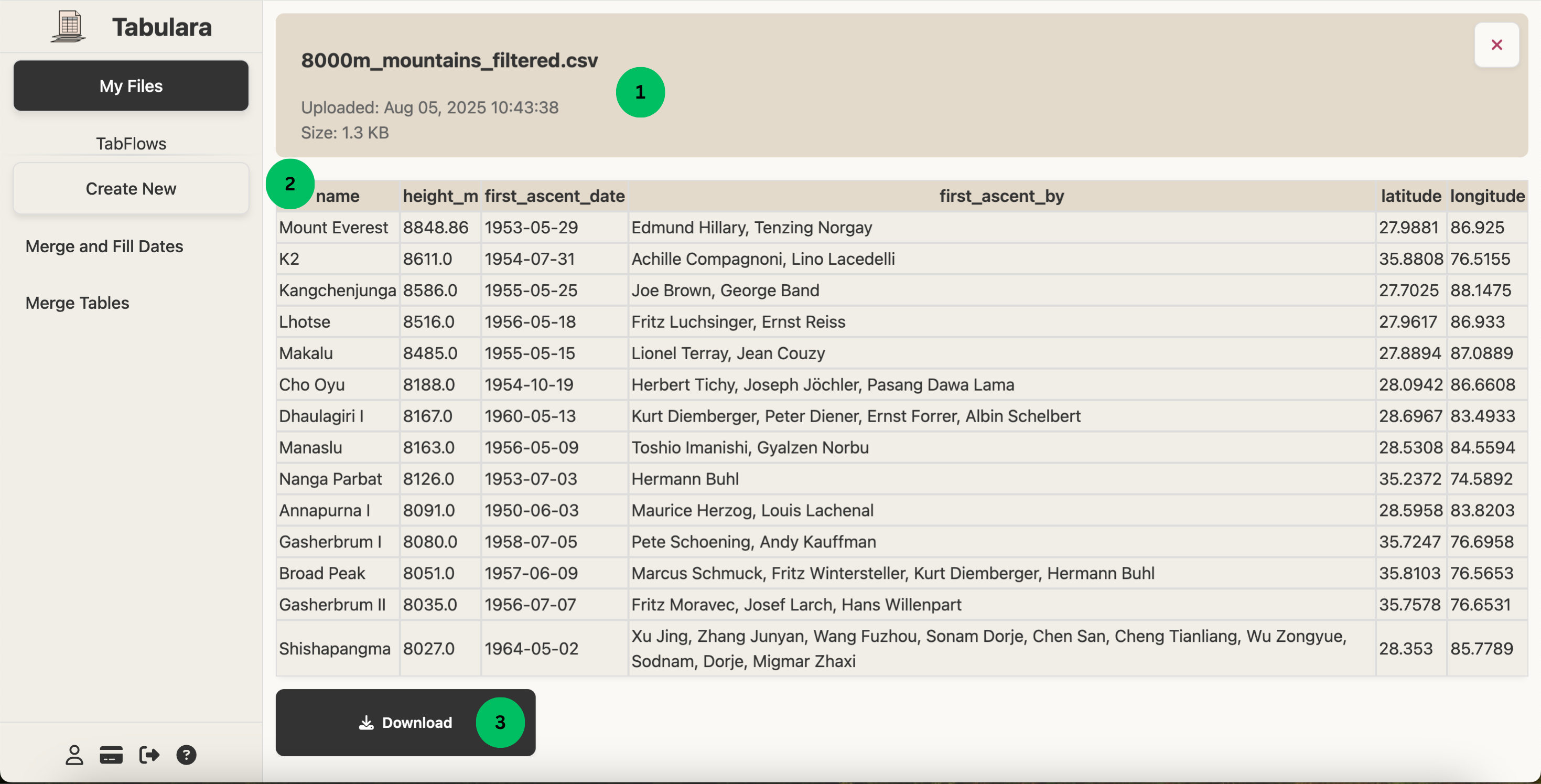 File management interface